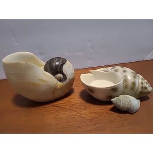 Ceramic Tea Candle Holders Shells Nautilus and Conch
